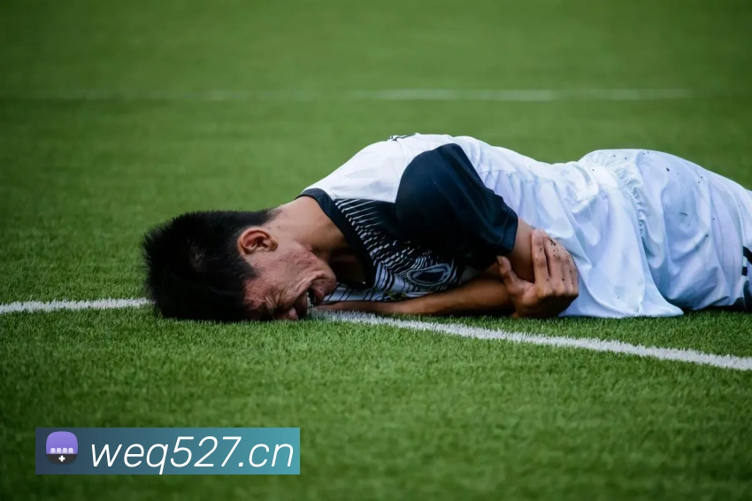 星空体育首页官网平台生态图